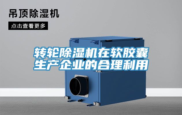 转轮猫咪成人官网在软胶囊生产企业的合理利用