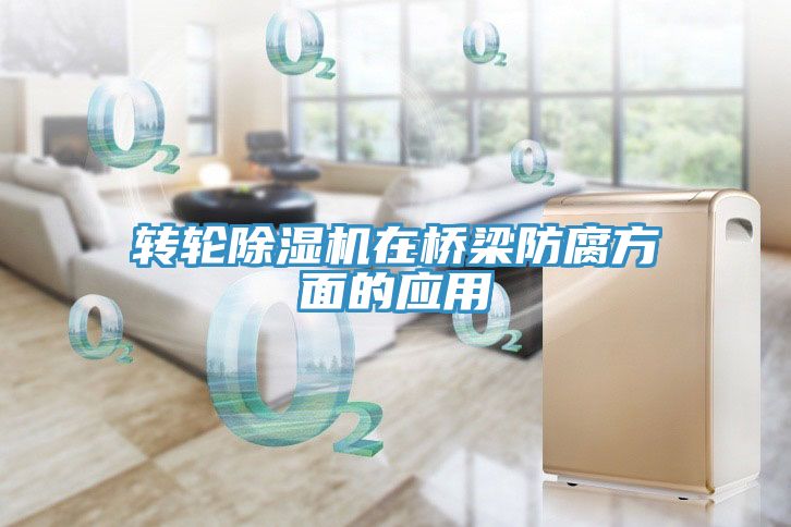 转轮猫咪成人官网在桥梁防腐方面的应用