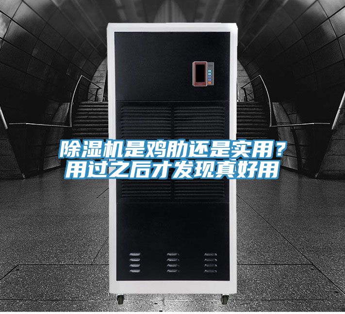 猫咪成人官网是鸡肋还是实用？用过之后才发现真好用