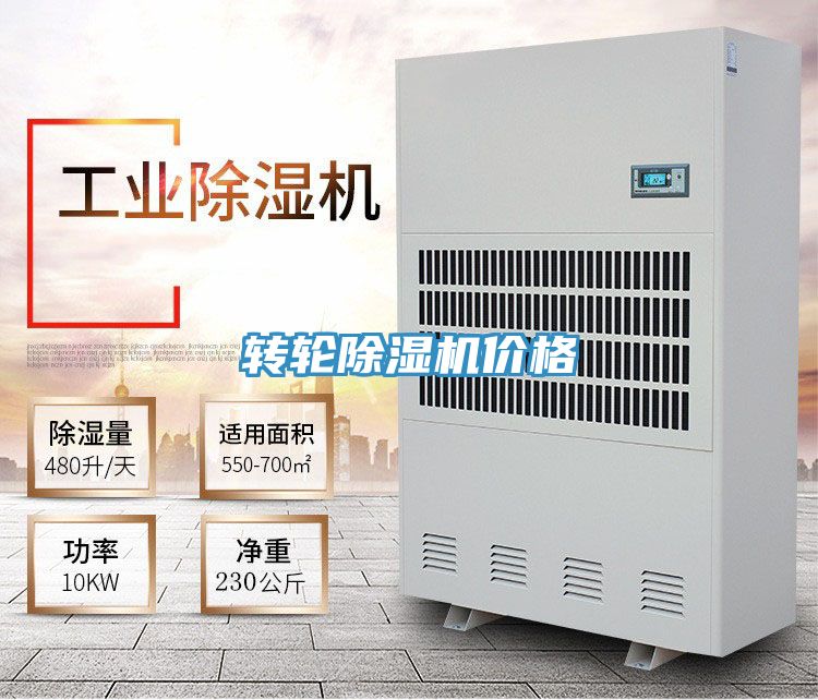 转轮猫咪成人官网价格