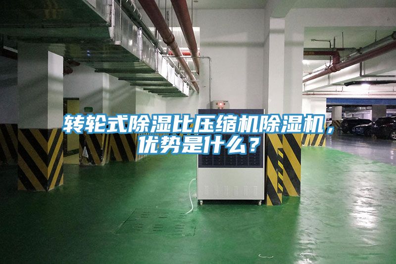 转轮式除湿比压缩机猫咪成人官网，优势是什么？