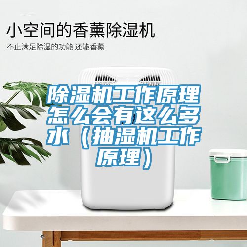 猫咪成人官网工作原理怎么会有这么多水（抽湿机工作原理）