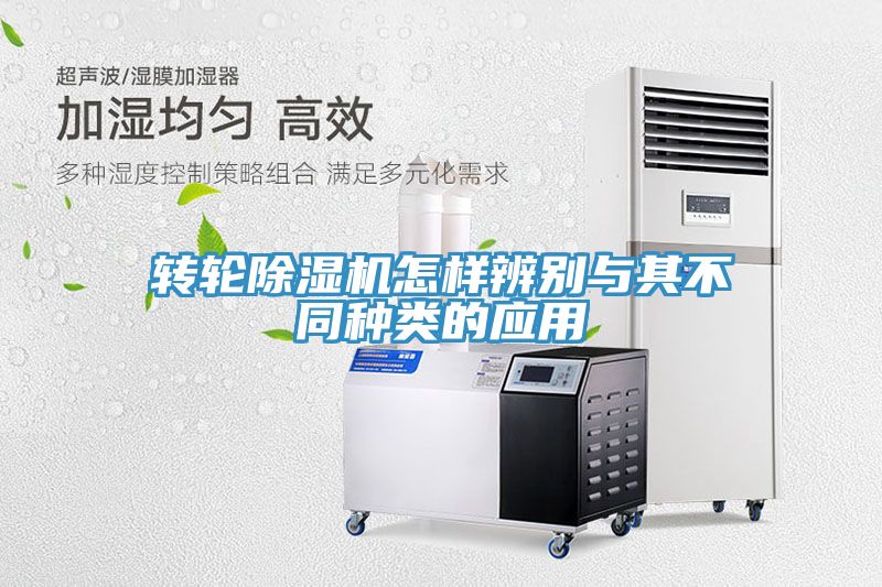 转轮猫咪成人官网怎样辨别与其不同种类的应用