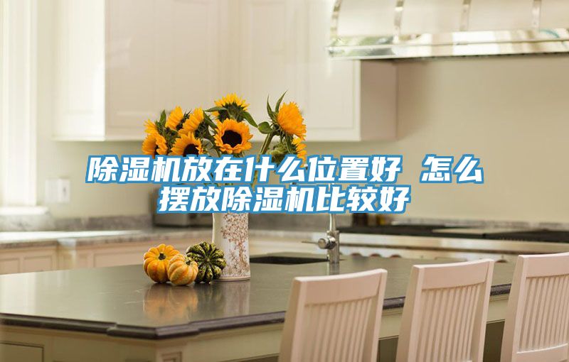猫咪成人官网放在什么位置好 怎么摆放猫咪成人官网比较好