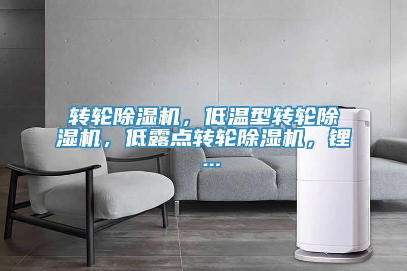 转轮猫咪成人官网，低温型转轮猫咪成人官网，低露点转轮猫咪成人官网，锂 ...