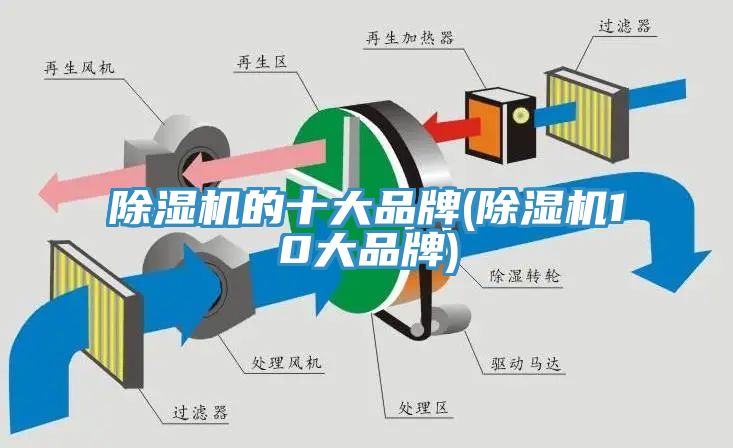 猫咪成人官网的十大品牌(猫咪成人官网10大品牌)