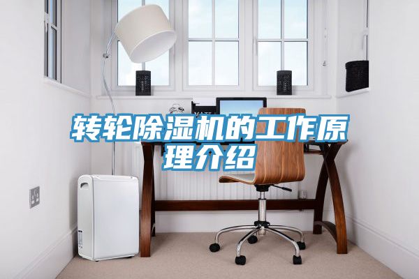 转轮猫咪成人官网的工作原理介绍