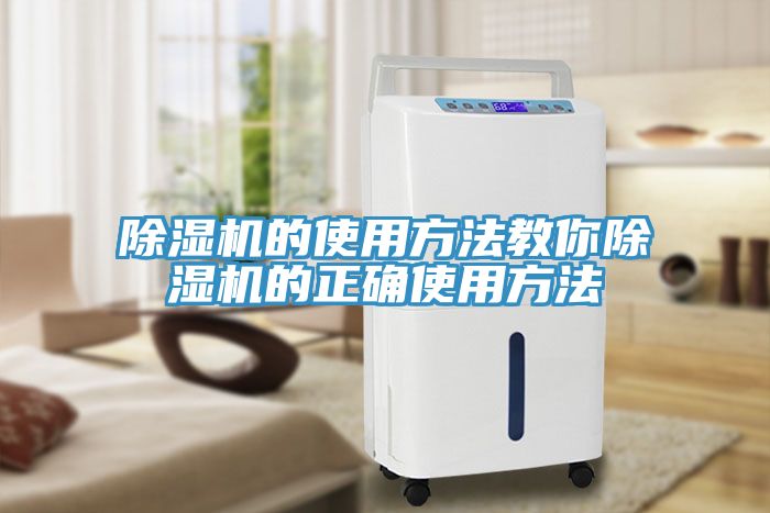 猫咪成人官网的使用方法教你猫咪成人官网的正确使用方法
