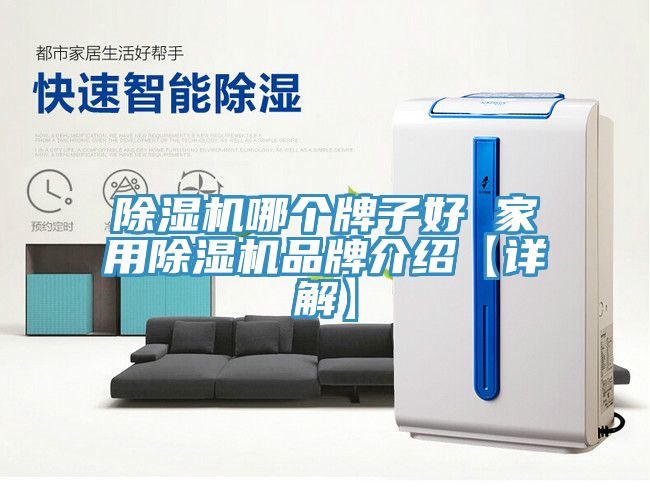 猫咪成人官网哪个牌子好 家用猫咪成人官网品牌介绍【详解】
