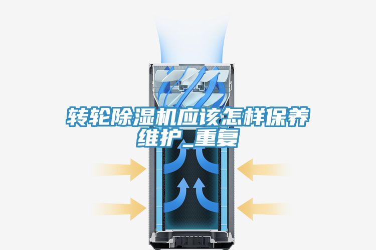 转轮猫咪成人官网应该怎样保养维护_重复