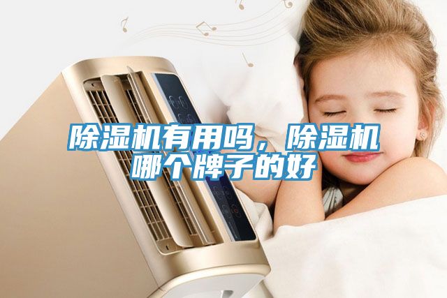 猫咪成人官网有用吗，猫咪成人官网哪个牌子的好