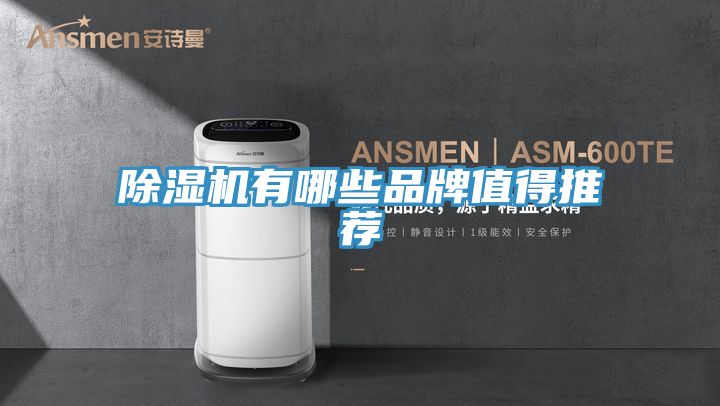 猫咪成人官网有哪些品牌值得推荐