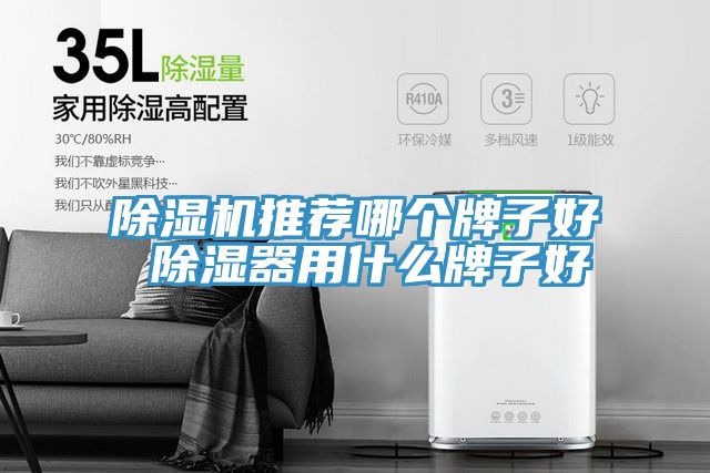 猫咪成人官网推荐哪个牌子好 除湿器用什么牌子好