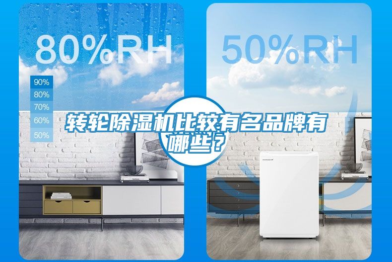 转轮猫咪成人官网比较有名品牌有哪些？