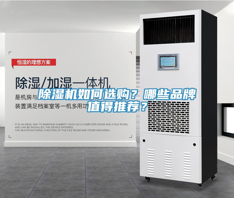 猫咪成人官网如何选购？哪些品牌值得推荐？