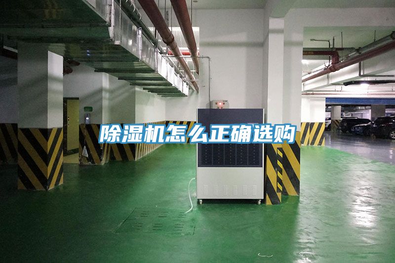 猫咪成人官网怎么正确选购