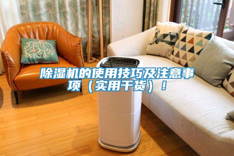 猫咪成人官网的使用技巧及注意事项（实用干货）！
