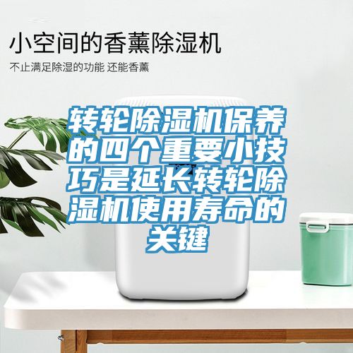 转轮猫咪成人官网保养的四个重要小技巧是延长转轮猫咪成人官网使用寿命的关键