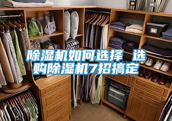 猫咪成人官网如何选择 选购猫咪成人官网7招搞定