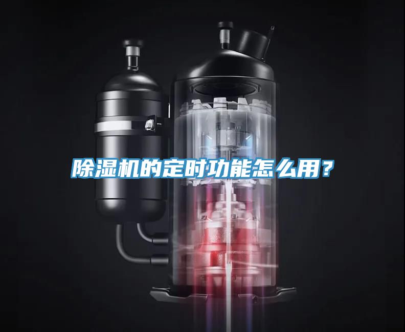 猫咪成人官网的定时功能怎么用？