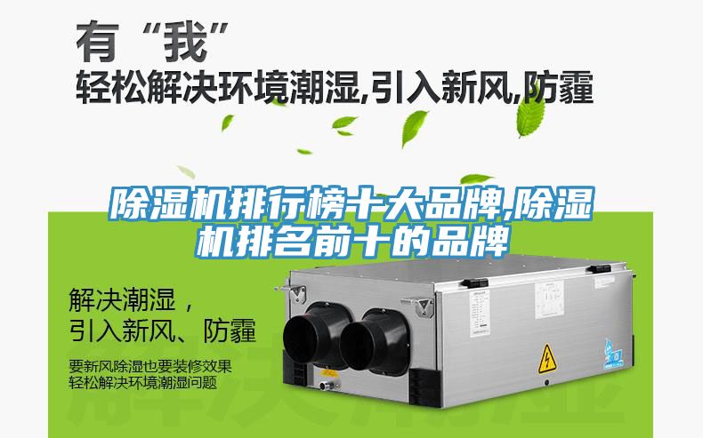猫咪成人官网排行榜十大品牌,猫咪成人官网排名前十的品牌