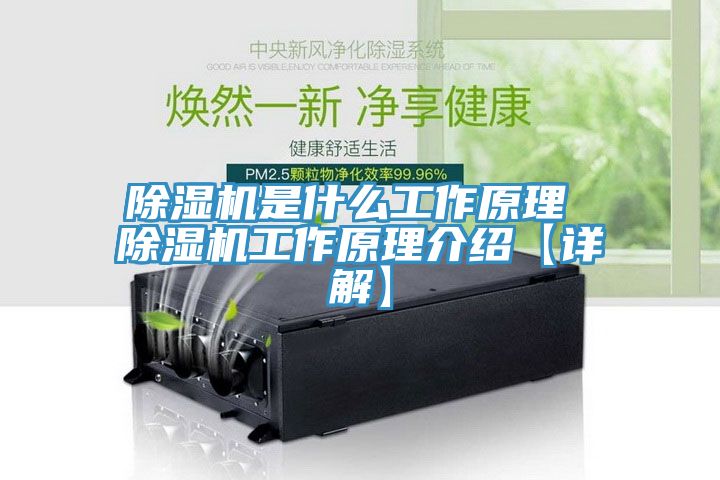 猫咪成人官网是什么工作原理 猫咪成人官网工作原理介绍【详解】