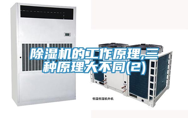 猫咪成人官网的工作原理,三种原理大不同(2)