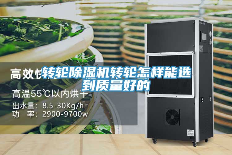 转轮猫咪成人官网转轮怎样能选到质量好的