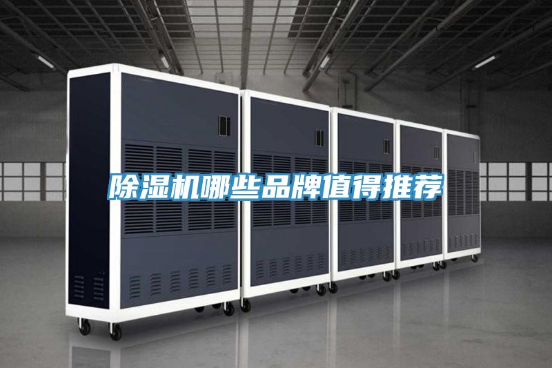 猫咪成人官网哪些品牌值得推荐