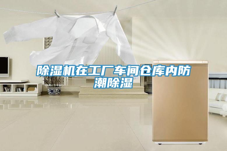 猫咪成人官网在工厂车间仓库内防潮除湿