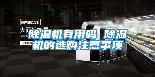 猫咪成人官网有用吗 猫咪成人官网的选购注意事项