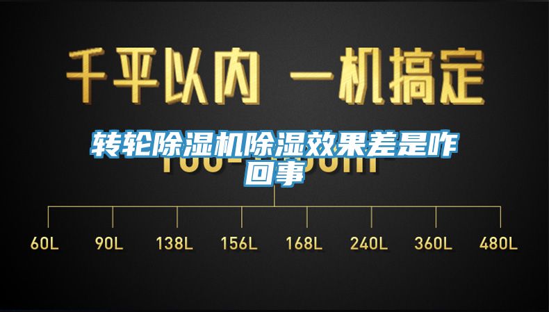 转轮猫咪成人官网除湿效果差是咋回事