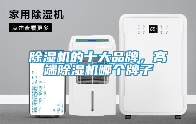 猫咪成人官网的十大品牌，高端猫咪成人官网哪个牌子