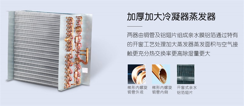 商用猫咪成人官网3