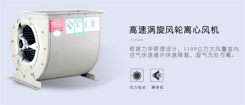 商用猫咪成人官网4