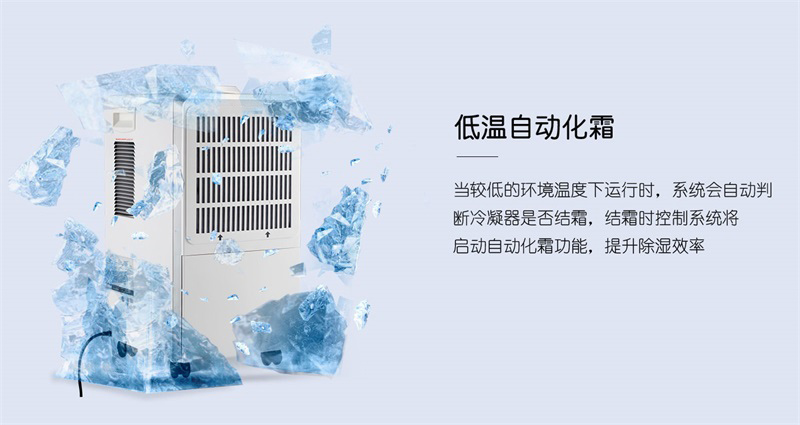 商用猫咪成人官网6