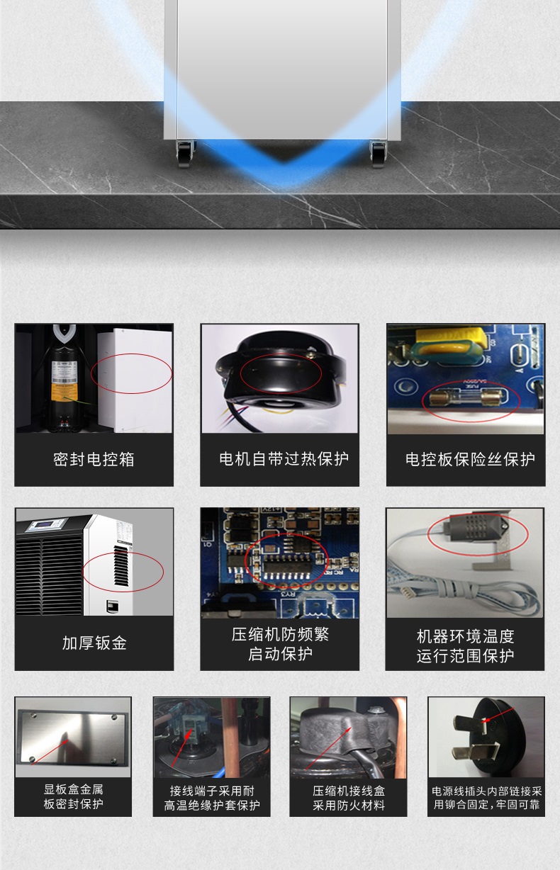 商用猫咪成人官网8