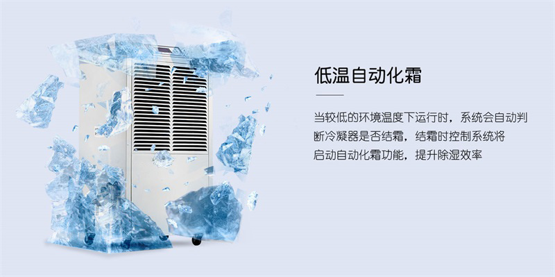 商用猫咪成人官网6