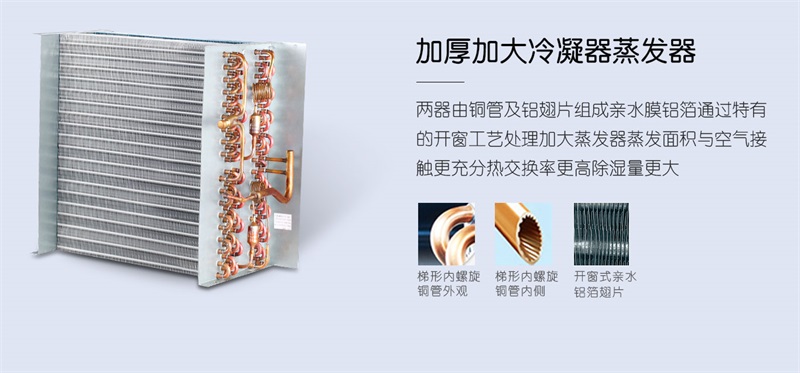 商用猫咪成人官网3