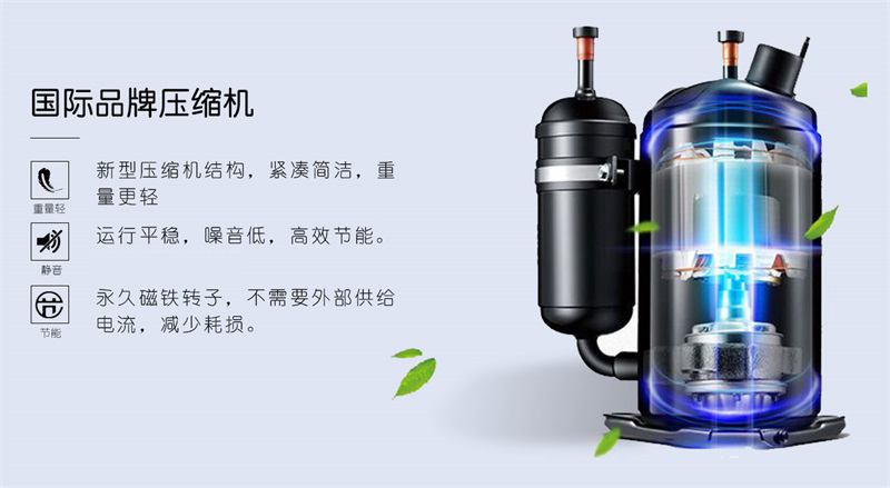 商用猫咪成人官网3