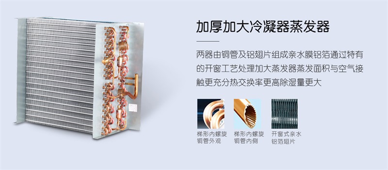 商用猫咪成人官网2