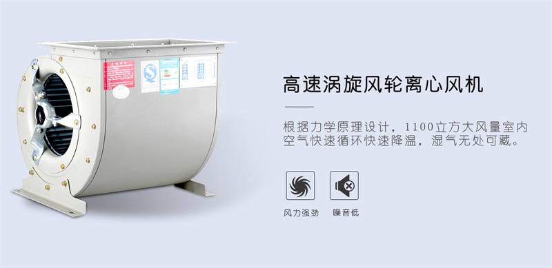 商用猫咪成人官网4