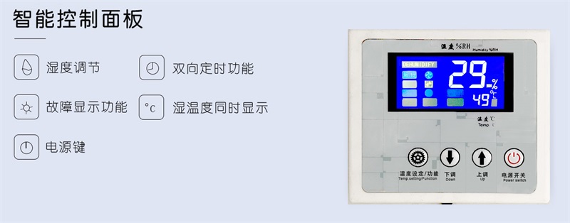 吊顶猫咪成人官网1