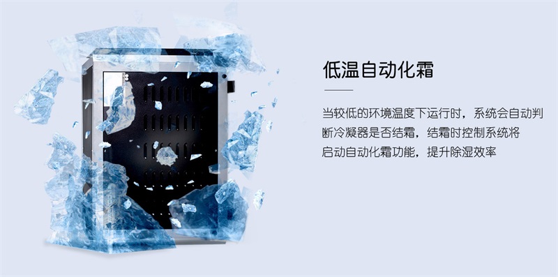 吊顶猫咪成人官网6