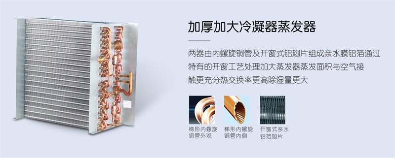 吊顶猫咪成人官网3