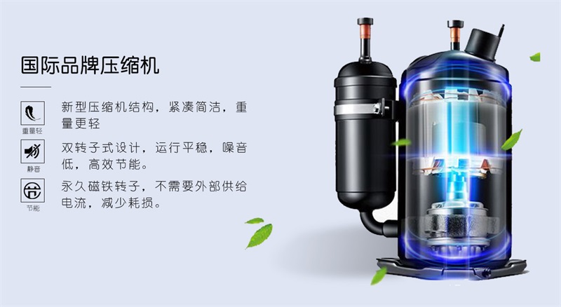 吊顶猫咪成人官网2