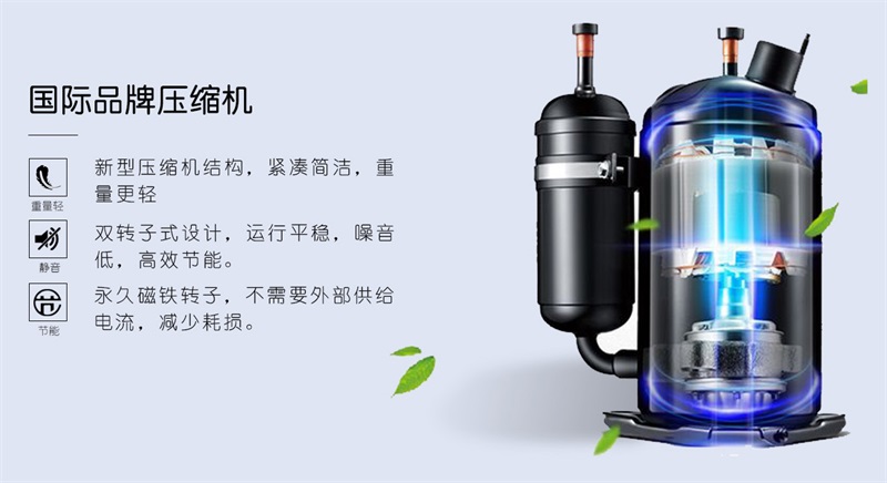壁挂猫咪成人官网3