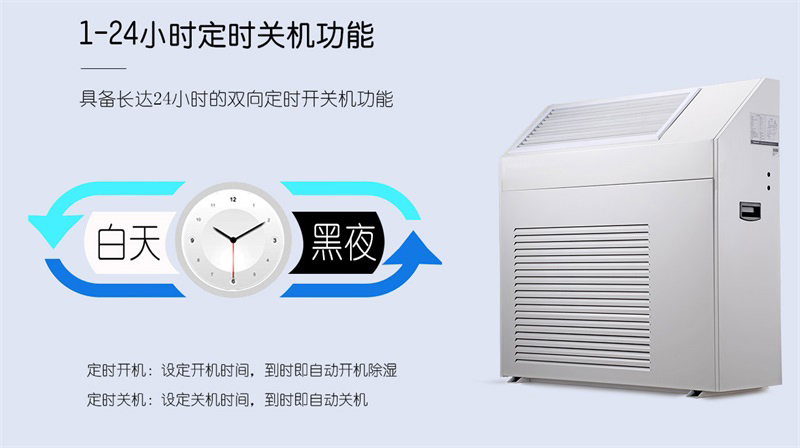 壁挂猫咪成人官网7