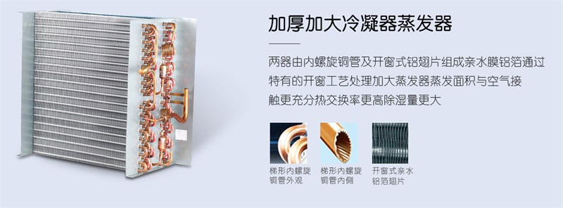 壁挂猫咪成人官网2