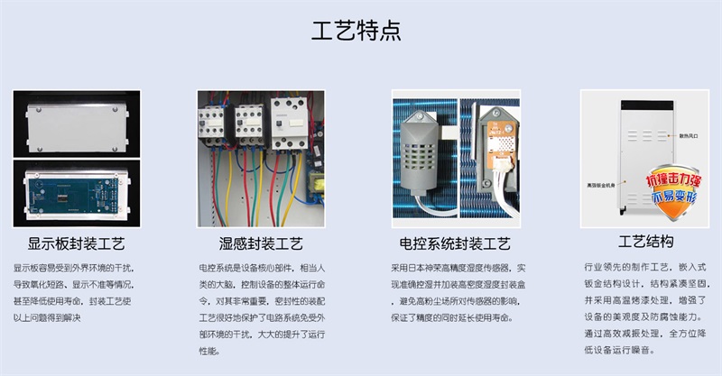 壁挂猫咪成人官网8